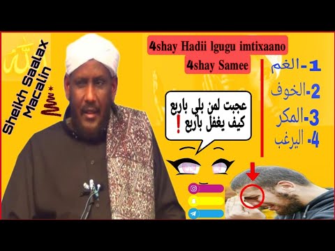 Hadii 4-Shay Lagugu Imtixaano 4- Shay Ha-Halmaamin | Sheikh Saalax Macalin...