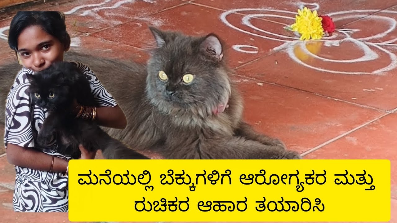 Cat's Food preparation at home ❤️😘 health and very tasty 😋