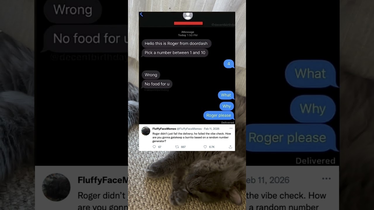 Roger vs. Your Hunger: Who Wins? 🍔  