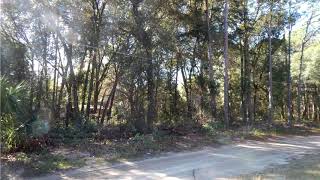 Lots And Land for sale - AVENUE C, Paisley, FL 32767