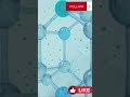 Computational chemistry and 3D modelling of molecules