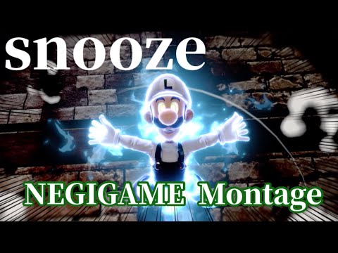 ネギガメ撃墜集【snooze】