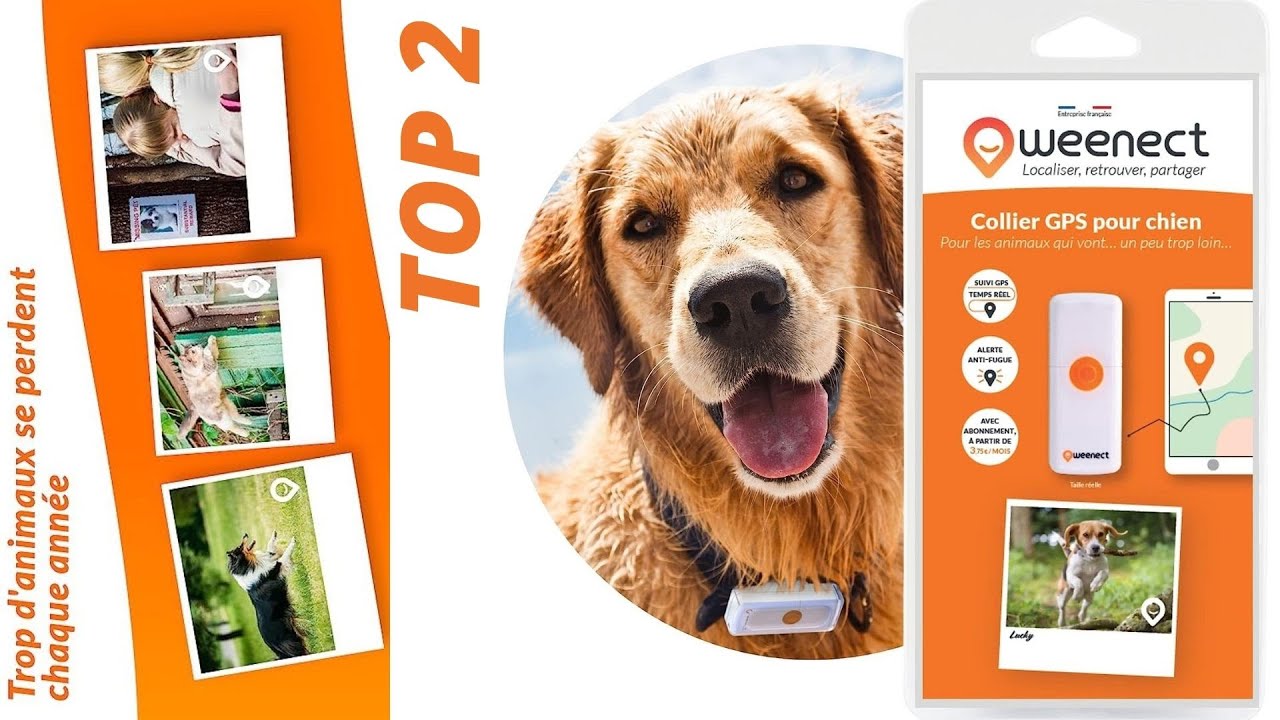 TOP 3 : Meilleur Collier GPS Chien 2023 