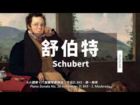 Música clássica de piano Schubert selecionada.The Best of Schubert ...