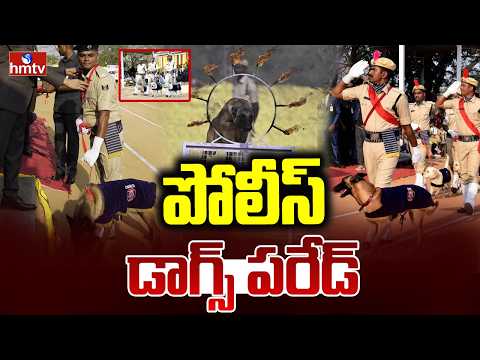 పోలీస్ డాగ్స్ పరేడ్ | Police Dog Passing Out Parade In Moinabad | Hyderabad | hmtv - HMTVNEWS