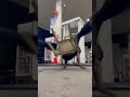 Bailando el baile de la silla en el mundo cagon el mejor #viral #dance #tiktok #shorts #funny