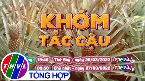 Nhịp sống đồng bằng: Khóm Tắc Cậu | Trailer