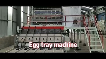 6x8 egg tray machine production line with metal dryer / auto counter stacker / Shunfu machine
