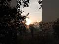 Amanhecer na roça #deus #roça #amanhecercomdeus #fazenda #nevando #rrt #paisagemnatural #viral
