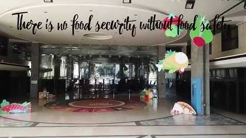 A world full of standards