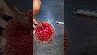Rambutan or durian? #fruit #buah #buahan #rambutan #durian #shorts