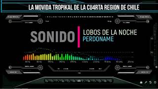 Video thumbnail of "Lobos de la Noche -  Perdoname"