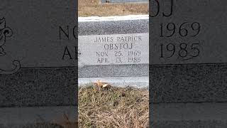 Deranged Horrors - Vol. 1,016: The Death Of James Obstoj