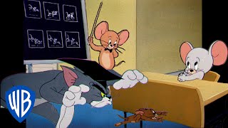 Tom Et Jerry En Français 🇫🇷 | Épisode Spécial De La Rentrée ! 📚 | @Wbkidsfrancais​