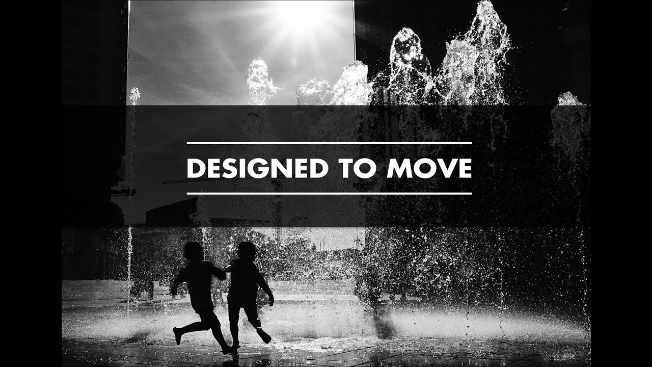 Designed to Move (GIZ NIKE) -