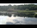 Рыбалка на красноперку в озере