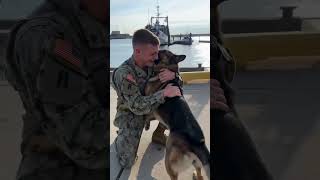Emotional Military Reunion: Soldier Reunited with His Loyal German Shepherd