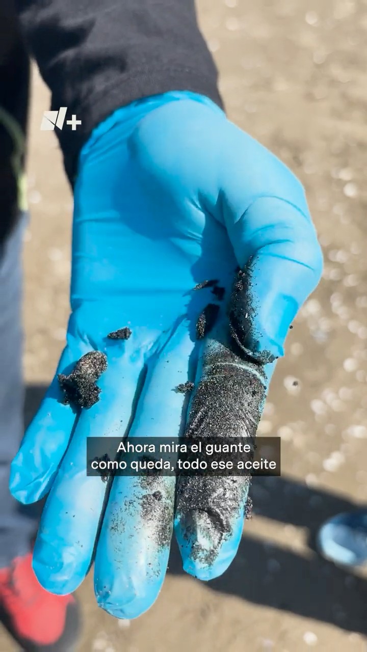 Así afectan los derrames de hidrocarburos en Veracruz - N+ #shorts