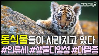 회복으로의 전환 (생물 다양성 분야 | 이영란 팀장, WWF) [인류세 위기를 막아라! - 온라인포럼, 강연4]