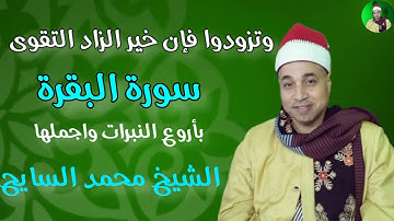 سورة البقرة بصوت الشيخ محمد السايح 28-2023 #المنشاوي #القران_الكريم #اكسبلور #دويتو #القارء #تيك_توك