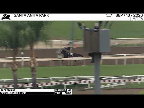 Work of the Day at Santa Anita Park: Proletariat worked 4 Furlongs in 50.80 on September 13th, 2026