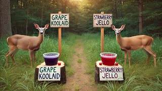 Testing $1 DIY Deer Attractant vs $30 Store-Bought