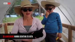 KI JARUM IRENG berbagi pengetahuan \