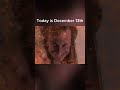 Today is December 13th #tuff #homealone #sigma #meme #memes #funny #brainrot #sigma #short #shorts