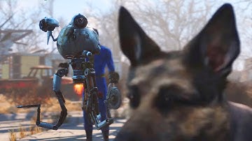 Fallout 4 Best Companion out of all Fallout 4 companions