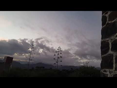 حبيبي صباح الخير يا صباحك ورد وفل ولوز ياعمري صباح النور