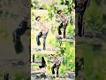 Create Stunning Photo Animation Beat Sync Videos: Mafiaedit009 Style