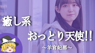 【羊宮妃那ヒストリー】すぐに詳しくなる動画