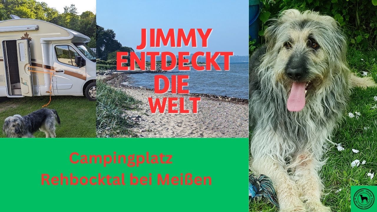markise balkon 5m lang Markisen Volant ersatzstoff, 3 m/3,5 m/5 m wasserdichte, UV-beständige Stoffbahnen aus 280D-Oxford-Gewebe, wellenförmige Volants für Terrasse, Balkon,Markise, Ersatz (Streifen, 5m) Elektrikli İki Tekerlekli Araçlar Trim Package:4XD PRO WMW WALI MOTO WEAR