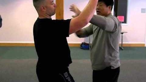 Fighting Arts - Yin Style Bagua - Entering Attacks