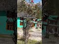 #love #travel #mountains #trendingshorts #youtubeshorts #trending #song