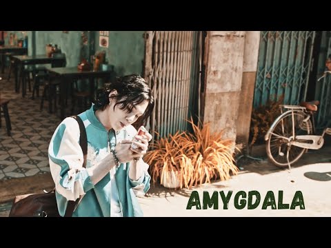 SUGA / AGUST D fmv 'amygdala'