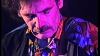 Dave Hole And Short Fuse 1992 Byron Bay.
