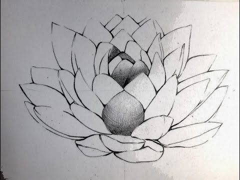 Video: Come Disegnare Una Ninfea