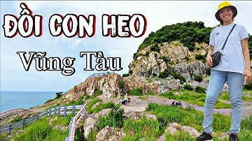 Đồi Con Heo Bãi Sau Vũng Tàu Và Hành Trình Hướng Dẫn Lên Đồi