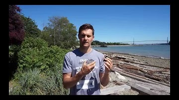 The Difference Between CamDo Solutions