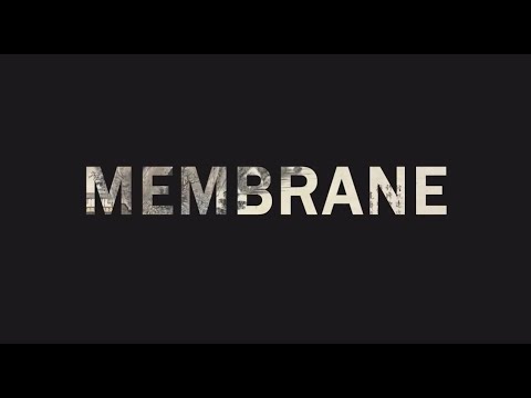 membrane by zhestaL