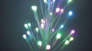 Multi Color Morphing Trees