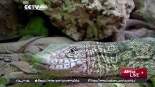 One man's effort to conserve and protect Algeria's wildlife