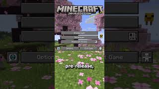 Minecraft Java Edition - 26.1 Pre-Release 1 Quick Showcase: Main Menu Panorama Updated! #minecraft