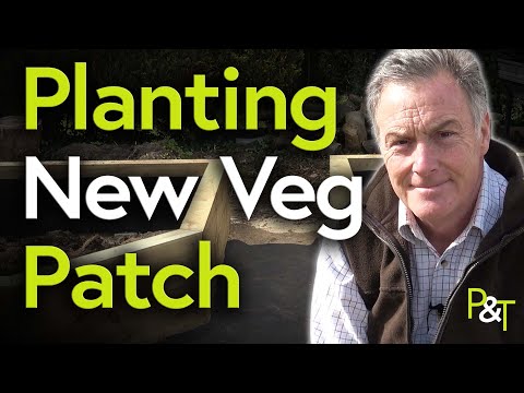 How to Prepare a New Vegetable Patch (Veggie Plot) - Pots & Trowels