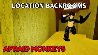 Location Backrooms In Afraid monkeys | ROBLOX