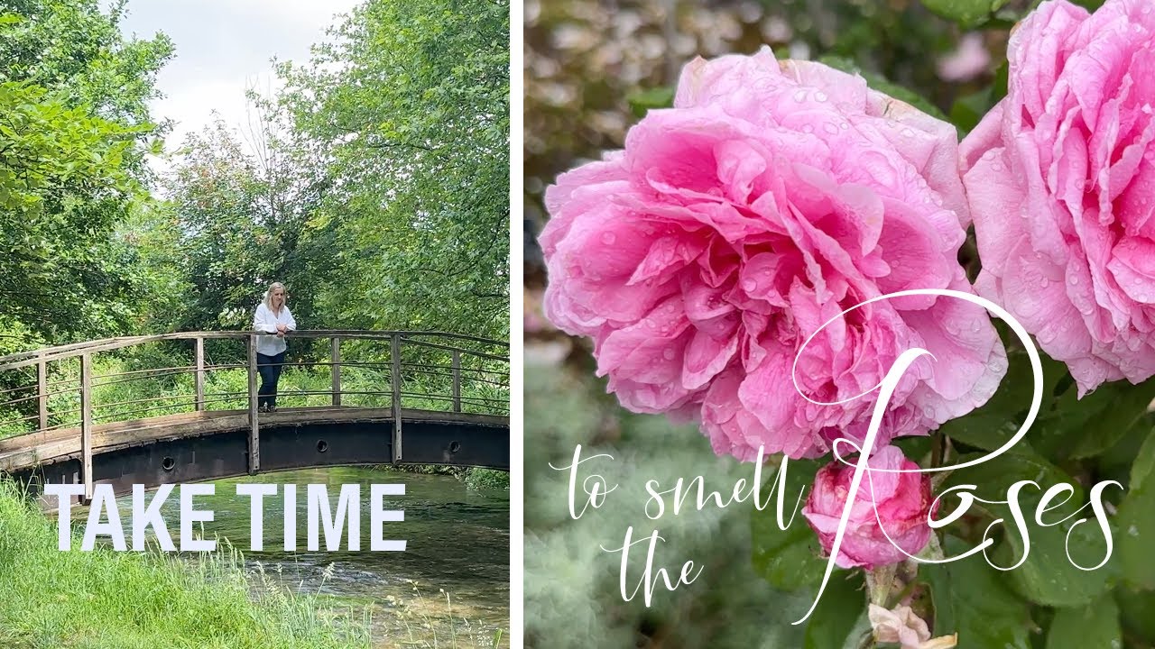 Take time to smell the roses l Nature l English Countryside l Mottisfont