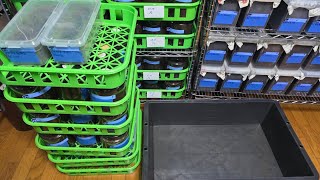 4月に羽化した138匹全部掘り出す