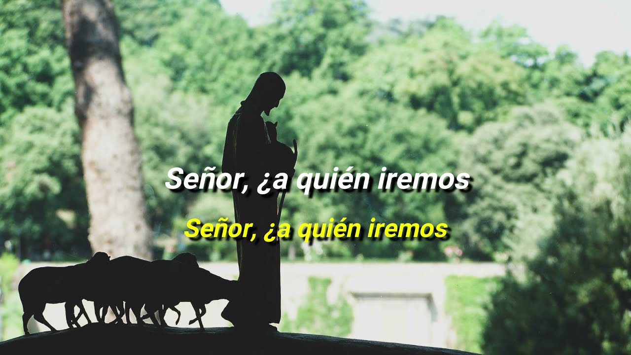 Señor, a quién iremos (Letra) - Canto Católico Acordes - Chordify
