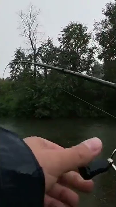 Ловля Окуня на кренки. Поймал Отпусти. #Fishing. #shorts - YouTube